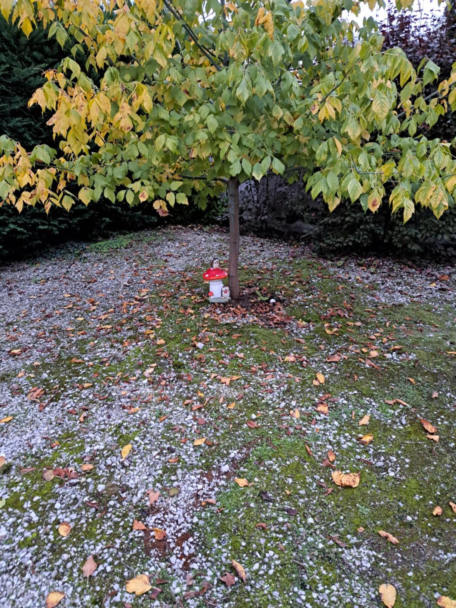 Gite Le Piege A Reves Pierre-de-Bresse Buitenkant foto